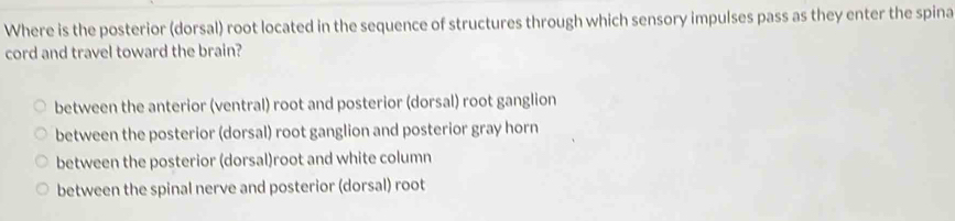 Where is the posterior (dorsal) root located in the sequence of structures through which sensory impulses pass as they enter the spina
cord and travel toward the brain?
between the anterior (ventral) root and posterior (dorsal) root ganglion
between the posterior (dorsal) root ganglion and posterior gray horn
between the posterior (dorsal)root and white column
between the spinal nerve and posterior (dorsal) root