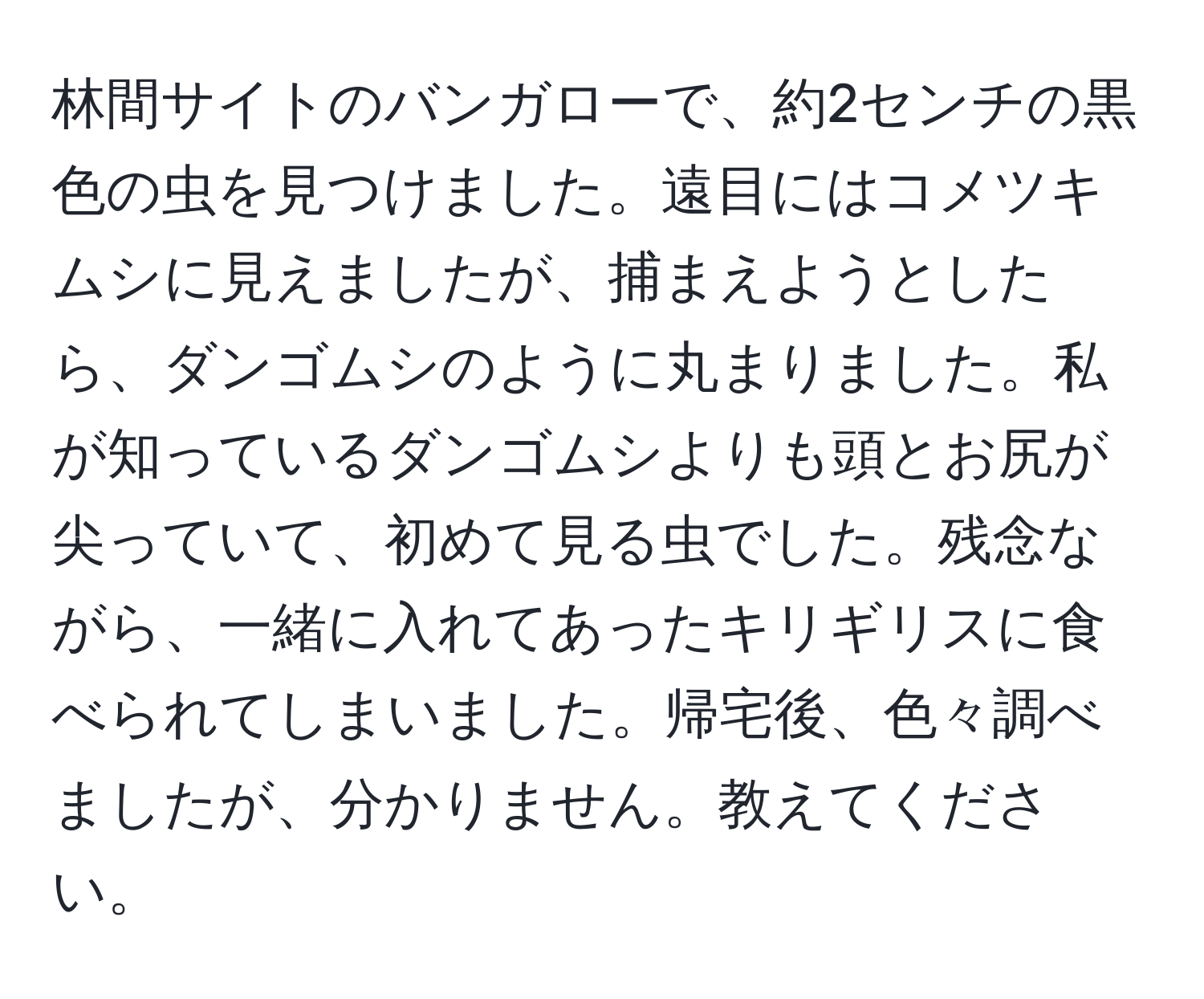 林間サイトのバンガローで、約2センチの黒色の虫を見つけました。遠目にはコメツキムシに見えましたが、捕まえようとしたら、ダンゴムシのように丸まりました。私が知っているダンゴムシよりも頭とお尻が尖っていて、初めて見る虫でした。残念ながら、一緒に入れてあったキリギリスに食べられてしまいました。帰宅後、色々調べましたが、分かりません。教えてください。