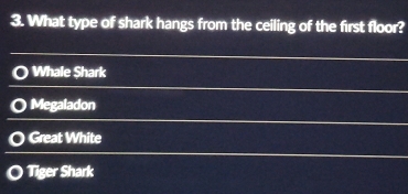 What type of shark hangs from the ceiling of the first floor?
Whale Shark
Megaladon
I Great White
Tiger Shark