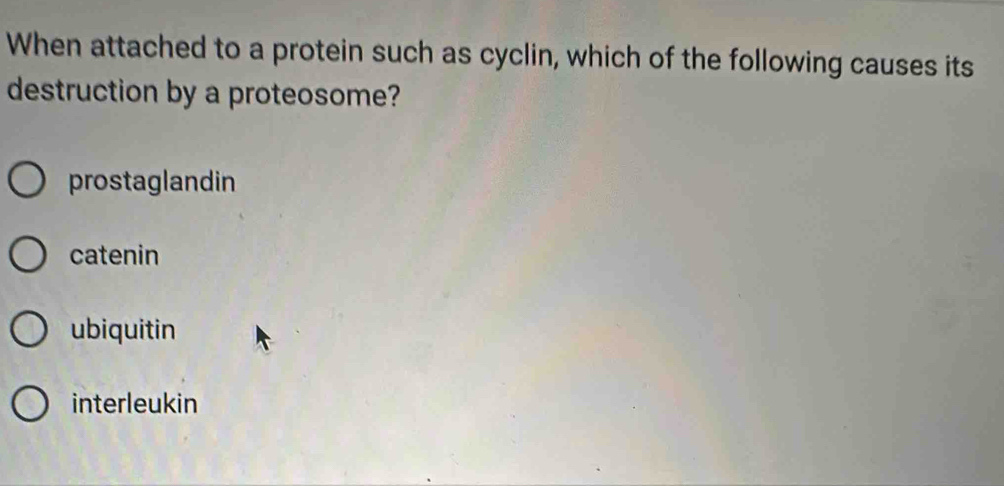 When attached to a protein such as cyclin, which of the following causes its
destruction by a proteosome?
prostaglandin
catenin
ubiquitin
interleukin