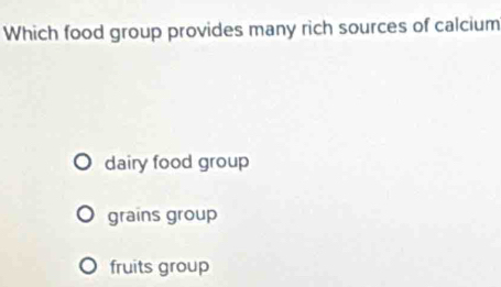 Which food group provides many rich sources of calcium
dairy food group
grains group
fruits group