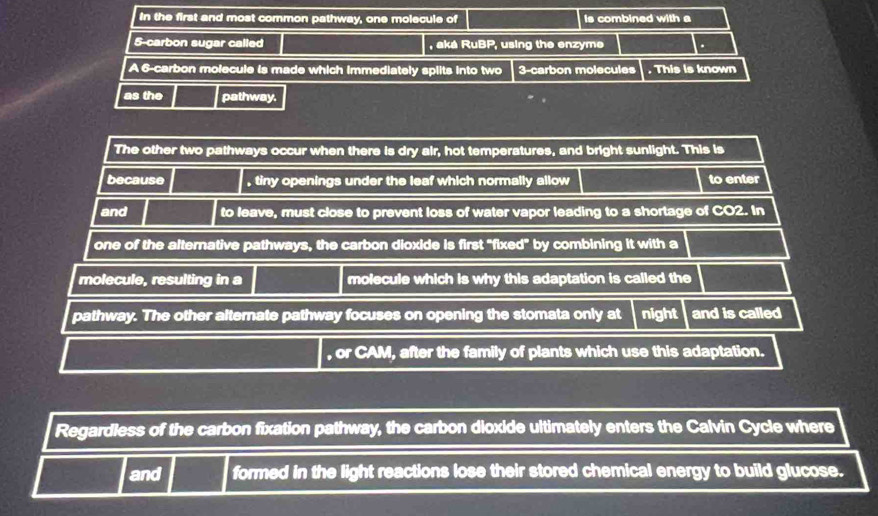 In the first and most common pathway, one molecule of is combined with a
5 -carbon sugar called , aká RuBP, using the enzyme . 
A 6 -carbon molecule is made which immediately splits into two 3 -carbon molecules . This is known 
as the pathway. 
The other two pathways occur when there is dry air, hot temperatures, and bright sunlight. This is 
because , tiny openings under the leaf which normally allow to enter 
and to leave, must close to prevent loss of water vapor leading to a shortage of CO2. In 
one of the alternative pathways, the carbon dioxide is first "fixed" by combining it with a 
molecule, resulting in a molecule which is why this adaptation is called the 
pathway. The other alternate pathway focuses on opening the stomata only at night and is called 
, or CAM, after the family of plants which use this adaptation. 
Regardless of the carbon fixation pathway, the carbon dioxide ultimately enters the Calvin Cycle where 
and formed in the light reactions lose their stored chemical energy to build glucose.