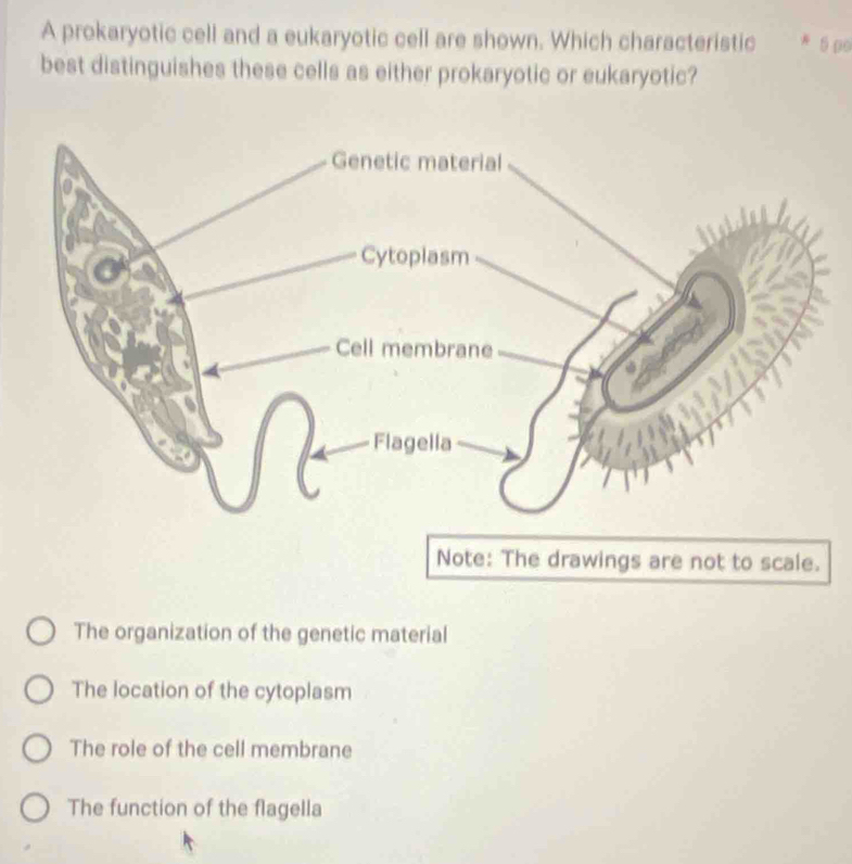 A prokaryotic cell and a eukaryotic cell are shown. Which characteristic * 5 00
best distinguishes these cells as either prokaryotic or eukaryotic?
The organization of the genetic material
The location of the cytoplasm
The role of the cell membrane
The function of the flagella