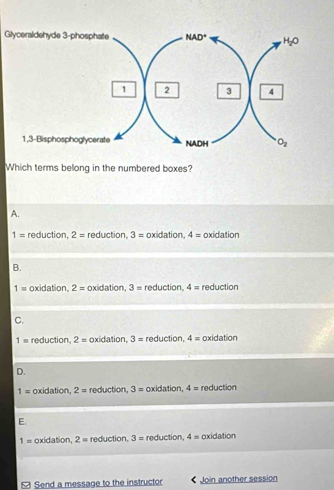 Glyceraldehyde 3-phosphate
Which terms belong in the numbered boxes?
A.
1= reduction, 2= reduction, 3= oxidation, 4= oxidation
B.
1= oxidation, 2= oxidation, 3= reduction, 4= reduction
C.
1= reduction, 2= oxidation, 3= reduction, 4= oxidation
D.
1= oxidation, 2= reduction, 3= oxidation, 4= reduction
E.
1= oxidation, 2= reduction, 3= reduction, 4= oxidation
Send a message to the instructor Join another session