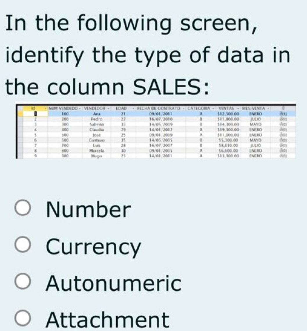 In the following screen,
identify the type of data in
the column SALES:
Number
Currency
Autonumeric
Attachment