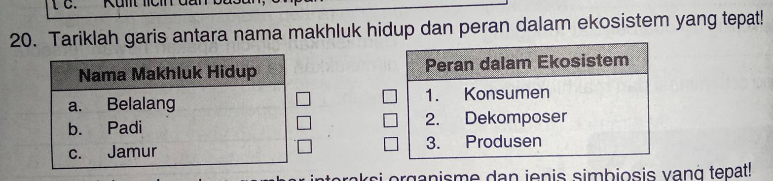 Tariklah garis antara nama makhluk hidup dan peran dalam ekosistem yang tepat! 

ci organisme dan jenis simbiosis vanà tepat!