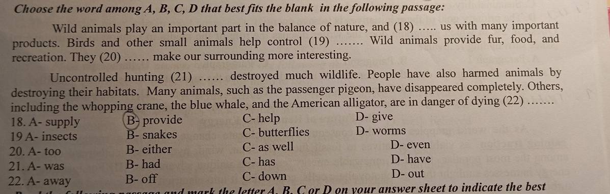 Choose the word among A, B, C, D that best fits the blank in the following passage:
Wild animals play an important part in the balance of nature, and (18) …... us with many important
products. Birds and other small animals help control (19) …….. Wild animals provide fur, food, and
recreation. They (20) …… make our surrounding more interesting.
Uncontrolled hunting (21) ……. destroyed much wildlife. People have also harmed animals by
destroying their habitats. Many animals, such as the passenger pigeon, have disappeared completely. Others,
including the whopping crane, the blue whale, and the American alligator, are in danger of dying (22) .......
18. A- supply B- provide C- help D- give
19 A- insects B- snakes C- butterflies D- worms
20. A- too B- either C- as well D- even
21. A- was B- had C- has
D- have
22. A- away B- off C- down
D- out
and mark the letter A. B. C or D on your answer sheet to indicate the best