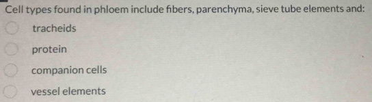 Cell types found in phloem include fibers, parenchyma, sieve tube elements and:
tracheids
protein
companion cells
vessel elements