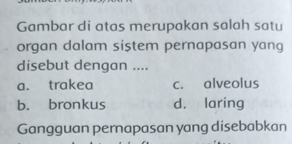 Gambar di atas merupakan salah satu
organ dalam sistem pernapasan yang
disebut dengan ....
a. trakea c. alveolus
b. bronkus d. laring
Gangguan pernapasan yang disebabkan