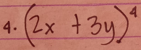 (2x+3y)^4