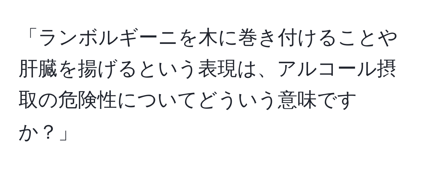 「ランボルギーニを木に巻き付けることや肝臓を揚げるという表現は、アルコール摂取の危険性についてどういう意味ですか？」