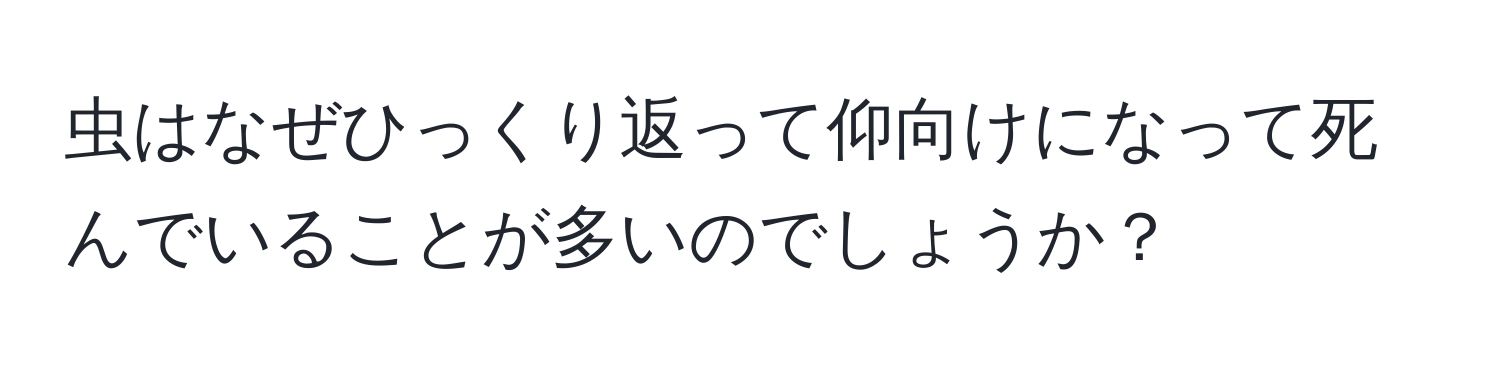 虫はなぜひっくり返って仰向けになって死んでいることが多いのでしょうか？