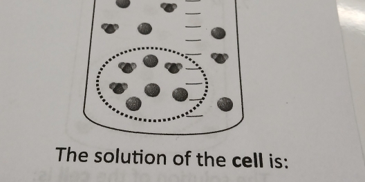 The solution of the cell is: