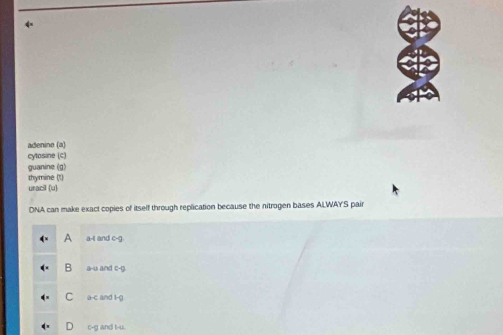 adenine (a)
cytosine (c)
guanine (g)
thymine (t)
uracil (u)
DNA can make exact copies of itself through replication because the nitrogen bases ALWAYS pair
A a-t and c-g.
B a-u and c-g.
C a-c and t-g
D c-g and t-u.