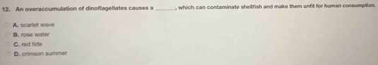 An overaccumulation of dinoflagellates causes a _, which can contaminate shellfish and make them unfit for human consumption.
A. scarlet wave
B. rose water
C. red tide
D. crimson summer