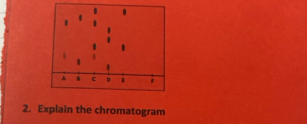 Explain the chromatogram