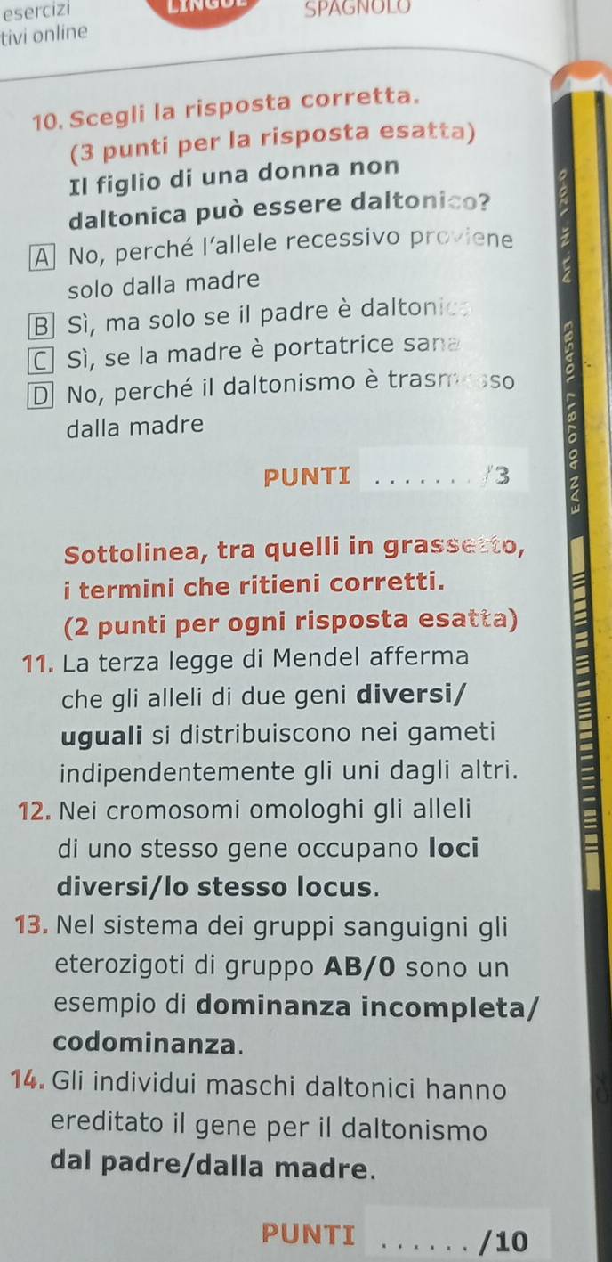 esercizi SPAGNOLO
tivi online
10. Scegli la risposta corretta.
(3 punti per la risposta esatta)
Il figlio di una donna non
daltonica può essere daltonico?
A No, perché l'allele recessivo proviene
solo dalla madre
B Sì, ma solo se il padre è daltonica
C Sì, se la madre è portatrice sana
D No, perché il daltonismo è trasmesso
dalla madre
∞
PUNTI . .... . . /3 2
Sottolinea, tra quelli in grassetto,
i termini che ritieni corretti.
(2 punti per ogni risposta esatta)
11. La terza legge di Mendel afferma
che gli alleli di due geni diversi/
uguali si distribuiscono nei gameti
indipendentemente gli uni dagli altri.
12. Nei cromosomi omologhi gli alleli
di uno stesso gene occupano Ioci
diversi/lo stesso locus.
13. Nel sistema dei gruppi sanguigni gli
eterozigoti di gruppo AB/0 sono un
esempio di dominanza incompleta/
codominanza.
14. Gli individui maschi daltonici hanno
ereditato il gene per il daltonismo
dal padre/dalla madre.
PUNTI _/10