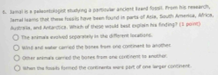 Jamal is a peleontologist studying a panticular ancient lzand fossil. Prom his reaearch,
Jamnal lears that these fossils have been found in parts of Asla, South America, Africa.
Australla, and Antarctica. Which of these would best explalm his finding? (1 point)
The animals ivolved seporabely in the diferent localions.
Wind and water corried the bones from one continent to amother
Other ankmals carried the bones from one condinent to anothol.
Whan the fosails foemed the contiments ware pext of one lamper continent.