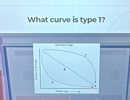 What curve is type 1?