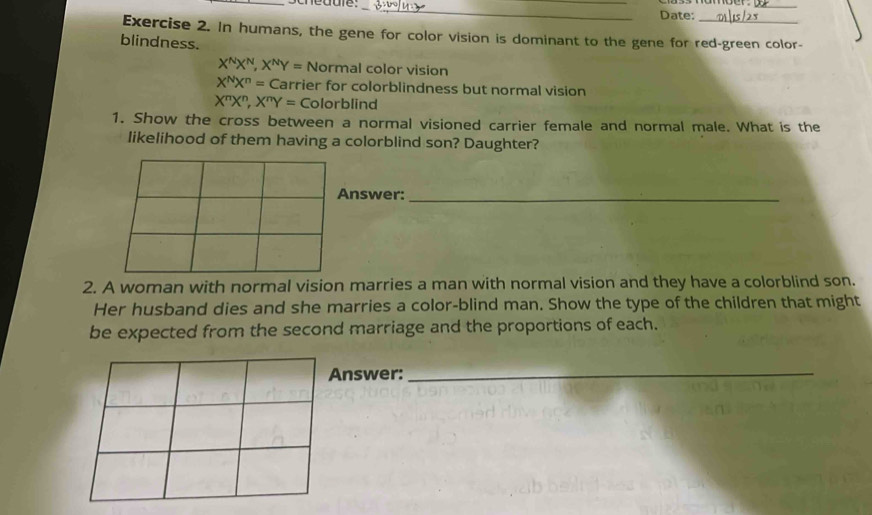 Date:
Exercise 2. In humans, the gene for color vision is dominant to the gene for red-green color-
blindness.
X^NX^N, X^NY= Normal color vision
X^NX^n=C arrier for colorblindness but normal vision
X^nX^n, X^nY= Colorblind
1. Show the cross between a normal visioned carrier female and normal male. What is the
likelihood of them having a colorblind son? Daughter?
Answer:_
2. A woman with normal vision marries a man with normal vision and they have a colorblind son.
Her husband dies and she marries a color-blind man. Show the type of the children that might
be expected from the second marriage and the proportions of each.
Answer:_