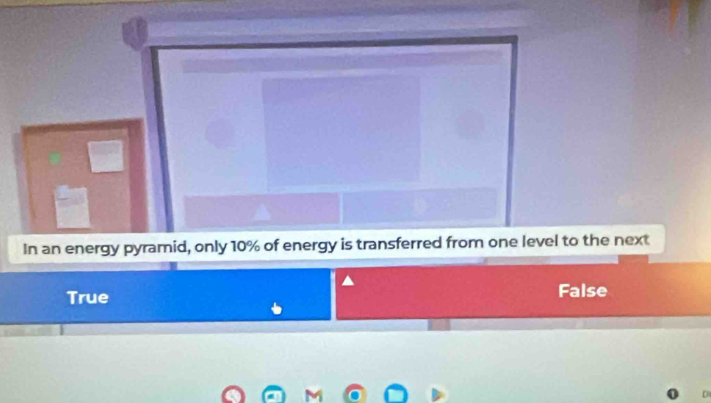 In an energy pyramid, only 10% of energy is transferred from one level to the next
True
False