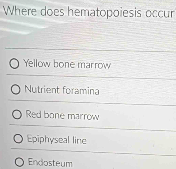 Where does hematopoiesis occur
Yellow bone marrow
Nutrient foramina
Red bone marrow
Epiphyseal line
Endosteum