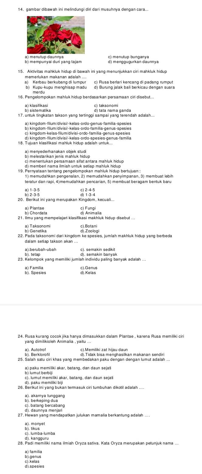 gambar dibawah ini melindungi diri dari musuhnya dengan cara...
a) menutup daunnya c) menutup bunganya
b) mempunyai duri yang tajam d) menggugurkan daunnya
15. Aktivitas mahkluk hidup di bawah ini yang menunjukkan ciri mahkluk hidup
memerlukan makanan adalah ....
a) Kerbau berkubang di lumpur c) Rusa berlari kencang di padang rumput
b) Kupu-kupu menghisap madu
16. Pengelompokan mahluk hidup berdasarkan persamaan ciri disebut...
a) klasifikasi c) taksonomi
b) sistematika d) tata nama ganda
17. untuk tingkatan takson yang tertinggi sampai yang terendah adalah...
a) kingdom-filum/divisi/-kelas-ordo-genus-familia-spesies
b) kingdom-filum/divisi/-kelas-ordo-familia-genus-spesies
c) kingdom-kelas-filum/divisi-ordo-familia-genus-spesies
d) kingdom-filum/divisi/-kelas-ordo-spesies-genus-familia
18. Tujuan klasifikasi mahluk hidup adalah untuk...
a) menyederhanakan objek stud
c) menentukan persamaan sifat antara mahluk hidup
d) memberi nama ilmiah untuk setiap mahluk hidup
19. Pernyataan tentang pengelompokan mahluk hidup bertujuan::
1) memudahkan pengenalan, 2) memudahkan penyimpanan, 3) membuat lebih
teratur dan rapi, 4)memudahkan pencarian, 5) membuat beragam bentuk baru
a) 1-3-5 c) 2-4-5
b) 2-3-5 d) 1-3-4
20. Berikut ini yang merupakan Kingdom, kecuali...
a) Plantae c) Fungi
b) Chordata d) Animalia
21. Ilmu yang mempelajari klasifikasi makhluk hidup disebut ...
a) Taksonom c).Botani
b) Genetika d).Zoologi
22. Pada taksonomi dari kingdom ke spesies, jumlah makhluk hidup yang berbeda
dalam setiap takson akan ...
a ). be r u bah -u b ah c). semakin sedikit
b). tetap d). semakin banyak
23. Kelompok yang memiliki jumlah individu paling banyak adalah ...
a) Familia c).Genus
b). Spesies d).Kelas
24. Rusa kurang cocok jika hanya dimasukkan dalam Plantae , karena Rusa memiliki ciri
yang dimilikioleh Animalia , yaitu ...
a). Autotrof c).Memiliki zat hijau daun
b). Berklorofil d).Tidak bisa menghasilkan makanan sendiri
25. Salah satu ciri khas yang membedakan paku dengan dengan lumut adalah ...
a) paku memiliki akar, batang, dan daun sejati
b) lumut berbiji
c). lumut memiliki akar, batang, dan daun sejati
d). paku memiliki biji
26. Berikut ini yang bukan termasuk ciri tumbuhan dikotil adalah ....
a). akarnya tunggang
b). berkeping dua
c). batang bercabang
d). daunnya menjari
27. Hewan yang mendapatkan julukan mamalia berkantung adalah ....
a). monyet
b). tikus
c ) . lumba- lumba
d). kangguru
28. Padi memiliki nama ilmiah Oryza sativa. Kata Oryza merupakan petunjuk nama ...
a) familia
b).genus
c).kelas
d).spesies