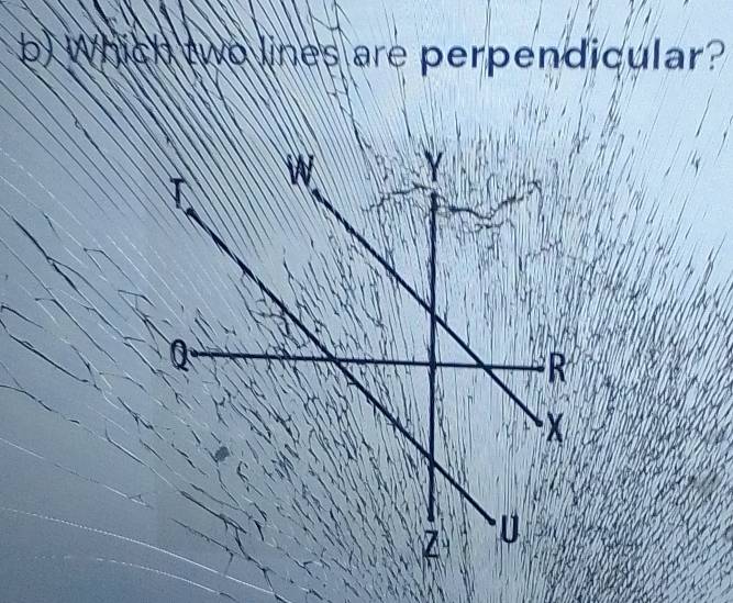 Which two lines are perpendicular?