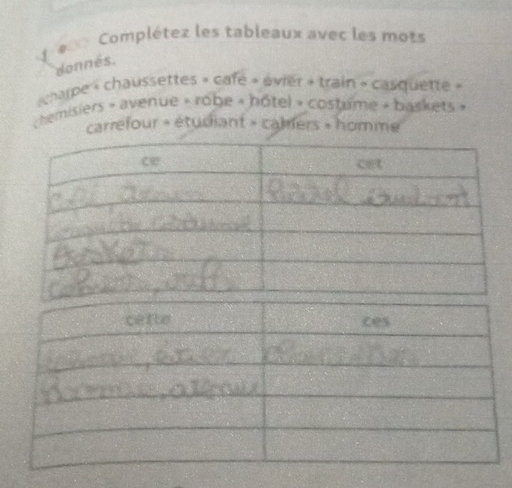 Complétez les tableaux avec les mots 
donnés. 
charpe « chaussettes » cafe » évier + train » casquette » 
chemisiers - avenue » robe » hôtel » costume - baskets » 
carrefour + étudiant - calfers + homme