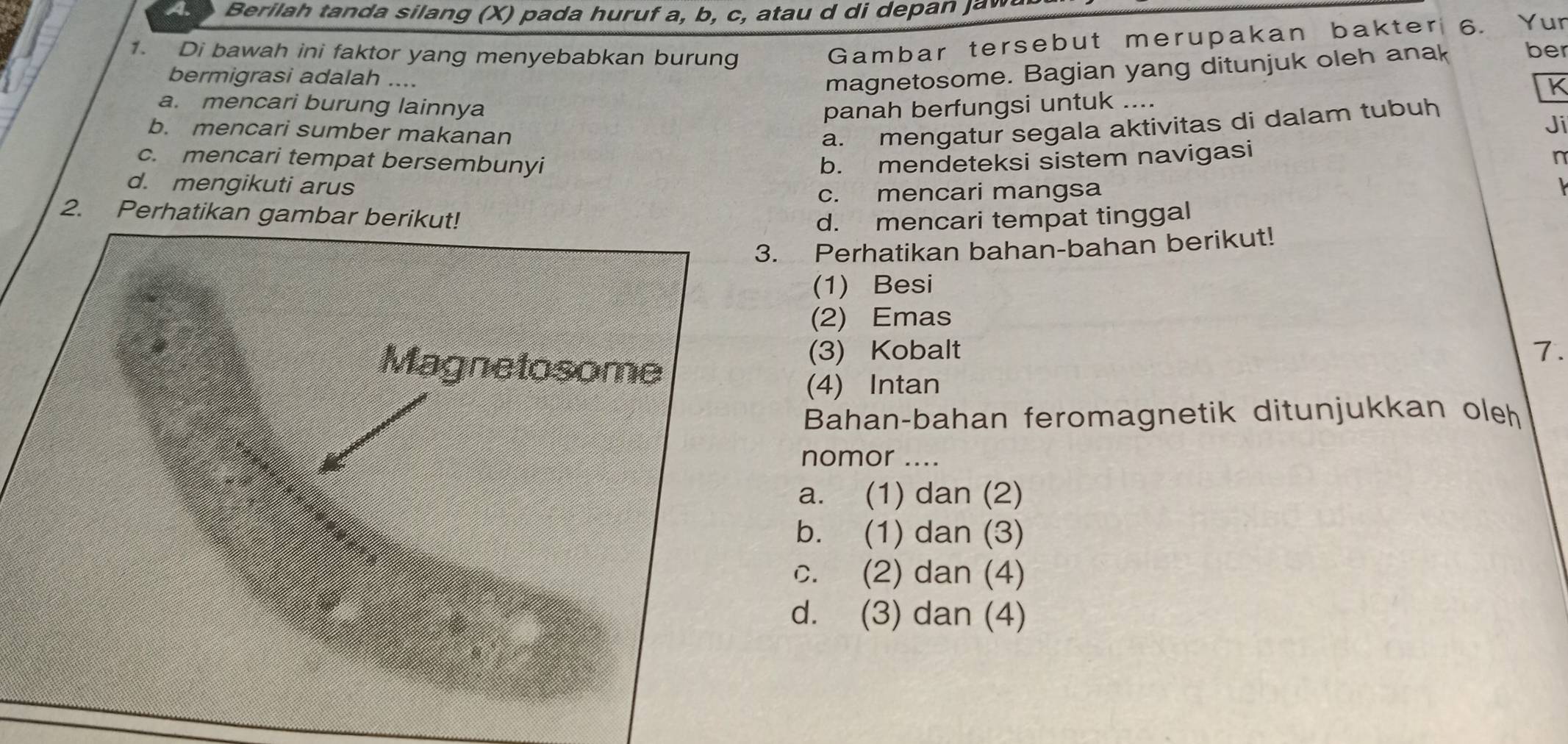 eril h tan a silang (X ) p a da huruf a, b , c t u i dep 
Gambar tersebut merupakan bakter 6. Yur
1. Di bawah ini faktor yang menyebabkan burung ber
bermigrasi adalah ....
magnetosome. Bagian yang ditunjuk oleh anak
a. mencari burung lainnya panah berfungsi untuk ....
b. mencari sumber makanan a. mengatur segala aktivitas di dalam tubuh
Ji
c. mencari tempat bersembunyi b. mendeteksi sistem navigasi
n
d. mengikuti arus
c. mencari mangsa
2. Perhatika d. mencari tempat tinggal
Perhatikan bahan-bahan berikut!
(1) Besi
(2) Emas
(3) Kobalt 7.
(4) Intan
Bahan-bahan feromagnetik ditunjukkan oleh
nomor ....
a. (1) dan (2)
b. (1) dan (3)
c. (2) dan (4)
d. (3) dan (4)