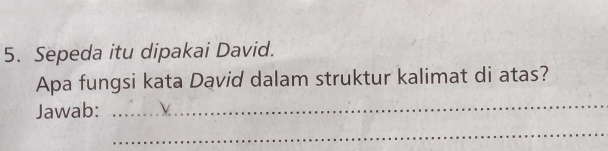 Sepeda itu dipakai David. 
Apa fungsi kata David dalam struktur kalimat di atas? 
Jawab:_ 
_