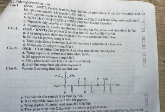 2 2. Trắc nghiêm đùng - sai
Cầu 1: (SGK - KNTT) Peptiều là nưng hợp chứt bữa cơ được cầu tạo từ các đơn vị x-amino acid liên
kết với nhau qua liên kết peptide (-CO-NH-)
a. Mỗi peptide mạch tử bắt dầu bằng amir acid đầu C và kắt thác bằng a no acid đầu N.
b. H_2N· CH_2-C ONH-C B(CH_3) l-CONH-CH:COOH là một trpeptide.
c. Tripeptide Gily-Ala-Val có 3 liên kết peptide.
d. Tetrapeptide (X) có cầu tạo như sa: Giy-Ala-Ala-Val, amiao acid chứa đầu C lã Val.
Câu 2: (SGK - KNTT) Cho peptide X có cộng thức cần tạo Ala-Gly-Gla-Val.
a. X là tetrapeptide được tạo thành v 4 đơn vị u-amiso acid khác nhan.
b. Số liên kết peptide trong X là 4
c. Thủy phần không hoàn tán X có thể thu được 3 dipeptide và 2 tripeptide.
d. Số nguyên từ oxygen trong X là 7.
Câu 3:  (SGK - Cánh Diều) Cho peptide A có công tức cầu tạo Ala-Gly-Val.
a. Trong peptide A, amino acid chéa dầu C là Val.
b. Số nguyên tử niteogen trong A là 3.
c. Thủy phân hoán toàn 1 mol A cần 2 mol NaOH.
d. A có khả năng tham gia phân ứng biuret.
Cầu 4: Peptide X có công thức cầu tạo năư sau:
a. Tên viết tắt của peptide X là Val-Gly-Als.
b, X là tripeptide mạch hở có 3 liên kết peptide.
e. Trong peptide X, amino acid chủa đầu N là Val.
d. Thủy phần hoàn toàn X thu được 3 o-amino aci khác nhau. cide X thu được 3 amino acid là Alz, Gly và Val.