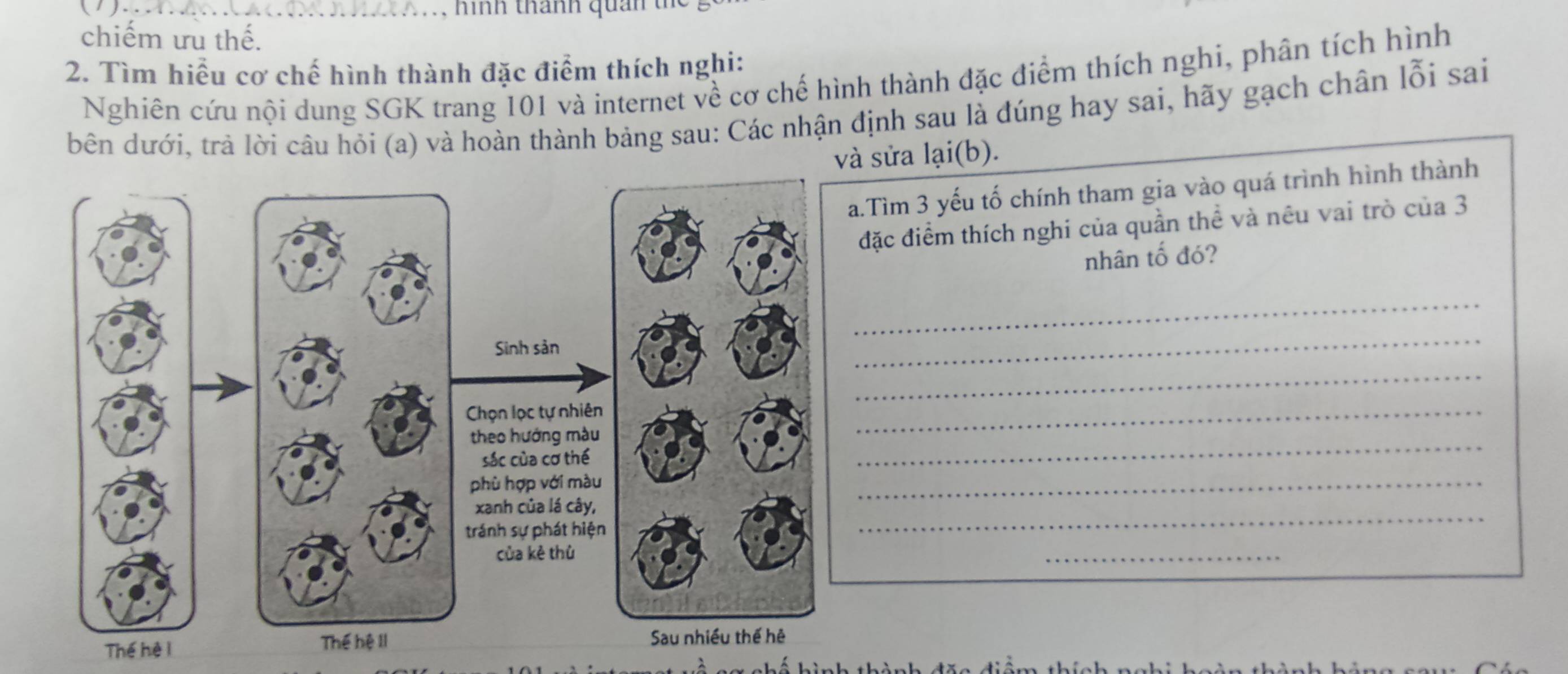 hình thành quản 
chiếm ưu thế. 
2. Tìm hiểu cơ chế hình thành đặc điểm thích nghi: 
Nghiên cứu nội dung SGK trang 101 và internet về cơ chế hình thành đặc điểm thích nghi, phân tích hình 
bên dưới, trả lời câu hỏi (a) và hoàn thành bảng sau: Các nhận định sau là đúng hay sai, hãy gạch chân lỗi sai 
và sửa lại(b). 
a.Tìm 3 yếu tố chính tham gia vào quá trình hình thành 
đặc điểm thích nghi của quần thể và nêu vai trò của 3
nhân tố đó? 
_ 
Sinh sản 
_ 
Chọn lọc tự nhiên 
_ 
theo hướng màu 
_ 
sác của cơ thể 
_ 
phù hợp với màu 
_ 
xanh của lá cây, 
_ 
tránh sự phát hiện 
của kẻ thù 
_ 
Thế hệ i Thể hệ II Sau nhiều thế hệ