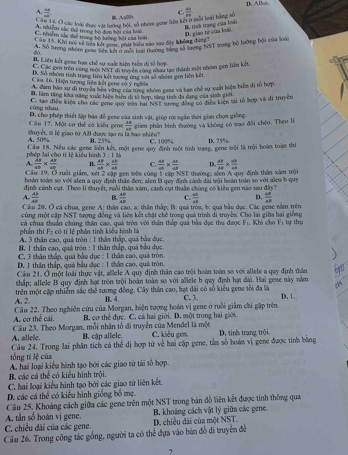 D. ABab.
A.  AB/ab .  Aa/Bb .
C.
B. AaBb.
Câu 14. Ở các loài thực vật lưỡng bội, số nhóm gene liên kết ở mỗi loài bằng số
B. tính trạng của loài.
A. nhiễm sắc thể trong bộ đơn bội của loài.
C. nhiễm sắc thể trong bộ lưỡng bội của loài.
D. giao tử của loài.
Câu 15. Khi nói về liền kết gene, phát biểu nào sau đây không đúng?
đó. A. Số lượng nhóm gene liên kết ở mỗi loài thường bằng số lượng NST trong bộ lưỡng bội của loài
B. Liên kết gene hạn chế sự xuất hiện biến dị tổ hợp.
C. Các gen trên cùng một NST di truyền cùng nhau tạo thành một nhóm gen liên kết
D. Số nhóm tính trạng liên kết tương ứng với số nhóm gen liên kết.
Câu 16. Hiện tượng liên kết gene có ý nghĩa
A. đảm bảo sự di truyền bền vững của từng nhóm gene và hạn chế sự xuất hiện biến dị tổ hợp.
B. làm tăng khả năng xuất hiện biến dị tổ hợp, tăng tính đa dạng của sinh giới.
C. tạo điều kiện cho các gene quý trên hai NST tương đồng có điều kiện tái tổ hợp và di truyền
cùng nhau.
D. cho phép thiết lập bản đồ gene của sinh vật, giúp rút ngắn thời gian chọn giống.
Câu 17. Một cơ thể có kiều gene  AB/ab  giàm phân bình thường và không có trao đổi chéo. Theo lí
thuyết, tỉ lệ giao tử AB được tạo ra là bao nhiêu?
A. 50%. B. 25%. C. 100%. D. 75%
Câu 18. Nếu các gene liên kết, một gene quy định một tính trạng, gene trội là trội hoàn toàn thì
phép lai cho tỉ lệ kiểu hình 3:11a
A.  AB/ab *  AB/ab  B.  AB/ab *  ab/ab  C.  AB/ab *  Ab/aB  D.  AB/AB *  ab/ab 
Câu 19. Ở ruồi giấm, xét 2 cặp gen trên cùng 1 cặp NST thường; alen A quy định thân xám trội
thoàn toàn so với alen a quy định thân đen; alen B quy định cánh dài trội hoàn toàn so với alen b quy
định cánh cụt. Theo lí thuyết, ruồi thân xám, cánh cụt thuần chủng có kiều gen nào sau đây?
A.  Ab/Ab   AB/AB   ab/ab   aB/aB 
B.
C.
D.
Câu 20. Ở cà chua, gene A: thân cao, a: thân thấp; B: quả tròn, b: quả bầu dục. Các gene nằm trên
cùng một cặp NST tượng đồng và liên kết chặt chẽ trong quá trình di truyền. Cho lai giữa hai giống
cà chua thuần chủng thân cao, quả tròn với thân thấp quả bầu dục thu được F_1. Khi cho F_1 tự thụ
phần thì F_2 có tỉ lệ phân tính kiểu hình là
A. 3 thân cao, quả tròn : 1 thân thấp, quả bầu dục.
B. 1 thân cao, quả tròn : 1 thân thấp, quả bầu dục.
C. 3 thân thấp, quả bầu dục : 1 thân cao, quả tròn.
D. 1 thân thấp, quả bầu dục : 1 thân cao, quả tròn.
Câu 21. Ở một loài thực vật, allele A quy định thân cao trội hoàn toàn so với allele a quy định thân
thấp; allele B quy định hạt tròn trội hoàn toàn so với allele b quy định hạt dài. Hai gene này nằm
trên một cặp nhiễm sắc thể tương đồng. Cây thân cao, hạt dài có số kiểu gene tối đa là
B. 4.
A. 2. C. 3.
D. 1.
Câu 22. Theo nghiên cứu của Morgan, hiện tượng hoán vị gene ở ruồi giấm chỉ gặp trên
A. cơ thể cái.  B. cơ thể đực. C. cả hai giới. D. một trong hai giới.
Câu 23. Theo Morgan, mỗi nhân tố di truyền của Mendel là một
A. allele. B. cặp allele. C. kiểu gen. D. tính trạng trội.
Câu 24. Trong lai phân tích cá thể dị hợp tử về hai cặp gene, tần số hoán vị gene được tính bằng
tổng tỉ lệ của
A. hai loại kiểu hình tạo bởi các giao tử tái tổ hợp.
B. các cá thể có kiểu hình trội.
C. hai loại kiểu hình tạo bởi các giao tử liên kết.
D. các cá thể có kiểu hình giống bố mẹ.
Câu 25. Khoảng cách giữa các gene trên một NST trong bản đồ liên kết được tính thông qua
A. tần số hoán vị gene. B. khoảng cách vật lý giữa các gene.
C. chiều dài của các gene. D. chiều dài của một NST.
Câu 26. Trong công tác gống, người ta có thể dựa vào bản đồ di truyền đề
2