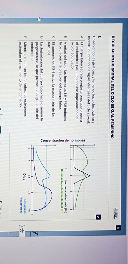 ×
REGULACIÓN HORMONAL DEL CICLO SEXUAL FEMENINO Bits
b
Observando las gráficas, y teniendo los ciclos ovárico y
menstrual, ordena las siguientes fases del ciclo sexual:
A El cuerpo lúteo secreta progesterona, que prepara
el endometrio para una posible implantación del
óvulo fecundado.
B |A mitad del ciclo, las hormonas LH y FSH inducen 
la ovulación y la creación del cuerpo lúteo.
C El aumento de FSH activa la maduración de los
folículos.
D La degradación del cuerpo lúteo hace dismunir la
progesterona, lo que provoca la degradación del
endometrio.
E Mientras maduran los folículos, los estrógenos
estimulan el crecimiento del endometrio.