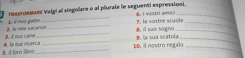 TRASFORMARE Volgi al singolare o al plurale le seguenti espressioni. 
_ 
6. i vostri amici_ 
_ 
1. il mio gatto 7. le vostre scuole_ 
_ 
2. le mie vacanze 8. il suo sogno_ 
3. il tuo cane 
4. la tua ricerca _9. la sua scatola_ 
5. il loro libro _10. il nostro regalo_