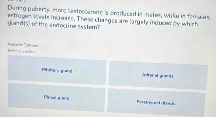 During puberty, more testosterone is produced in males, while in females,
estrogen levels increase. These changes are largely induced by which
gland(s) of the endocrine system?
Answer Options:
Select one of four
Pituitary gland Adrenal glands
Pineal gland Parathyroid glands