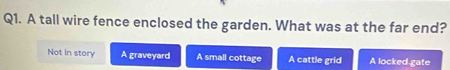 A tall wire fence enclosed the garden. What was at the far end?
Not in story A graveyard A small cottage A cattle grid A locked gate