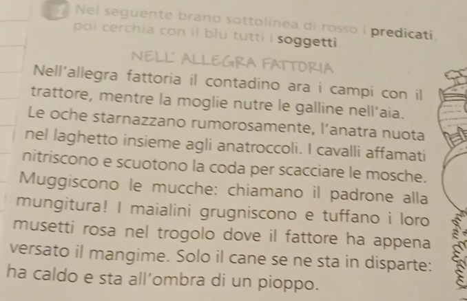 Nel seguente brano sottolinea di rosso i predicati, 
poi cerchia con il blu tutti i soggetti . 
NELL' ALLEGRA FATTORIA 
Nell'allegra fattoria il contadino ara i campi con il 
trattore, mentre la moglie nutre le galline nell’aia. 
Le oche starnazzano rumorosamente, l’anatra nuota 
nel laghetto insieme agli anatroccoli. I cavalli affamati 
nitriscono e scuotono la coda per scacciare le mosche. 
Muggiscono le mucche: chiamano il padrone alla 
mungitura! I maialini grugniscono e tuffano i loro 
musetti rosa nel trogolo dove il fattore ha appena 
versato il mangime. Solo il cane se ne sta in disparte: 
ha caldo e sta all’ombra di un pioppo.