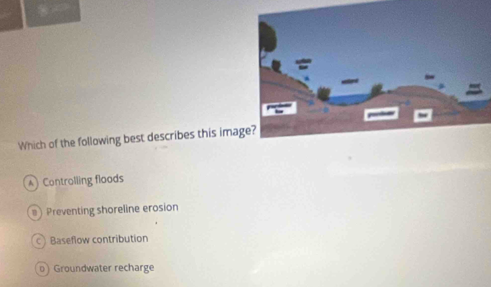 Which of the following best describes this imag
Controlling floods
) Preventing shoreline erosion
c) Baseflow contribution
D Groundwater recharge