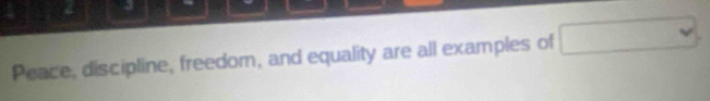 Peace, discipline, freedom, and equality are all examples of x_1+x_2= □ /□   v