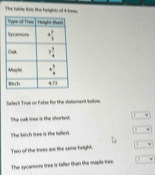 The table lists the heights of 4 trees.
Select True or False for the statement below.
The oak tree is the shortest. ,
The birch tree is the tallest. , psi
Two of the trees are the same height. a downarrow
The sycamore tree is taller than the maple tree. , 50°