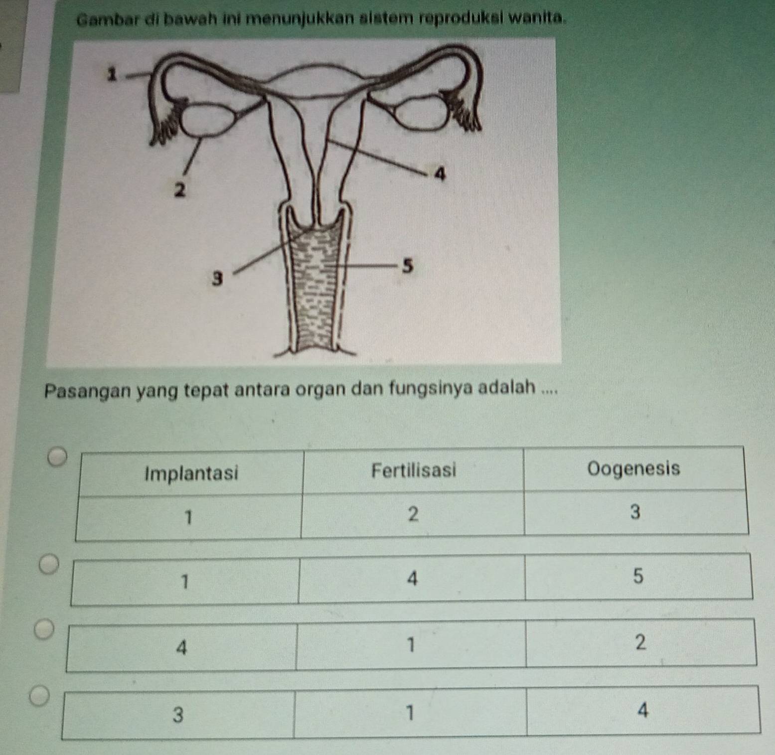 Gambar di bawah ini menunjukkan sistem reproduksi wanita.
Pasangan yang tepat antara organ dan fungsinya adalah ....
1
4
5
4
1
2
3
1
4