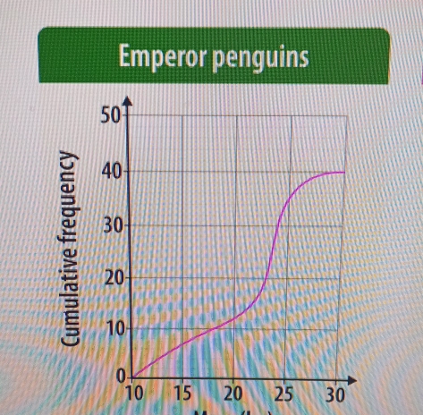 Emperor penguins 
`