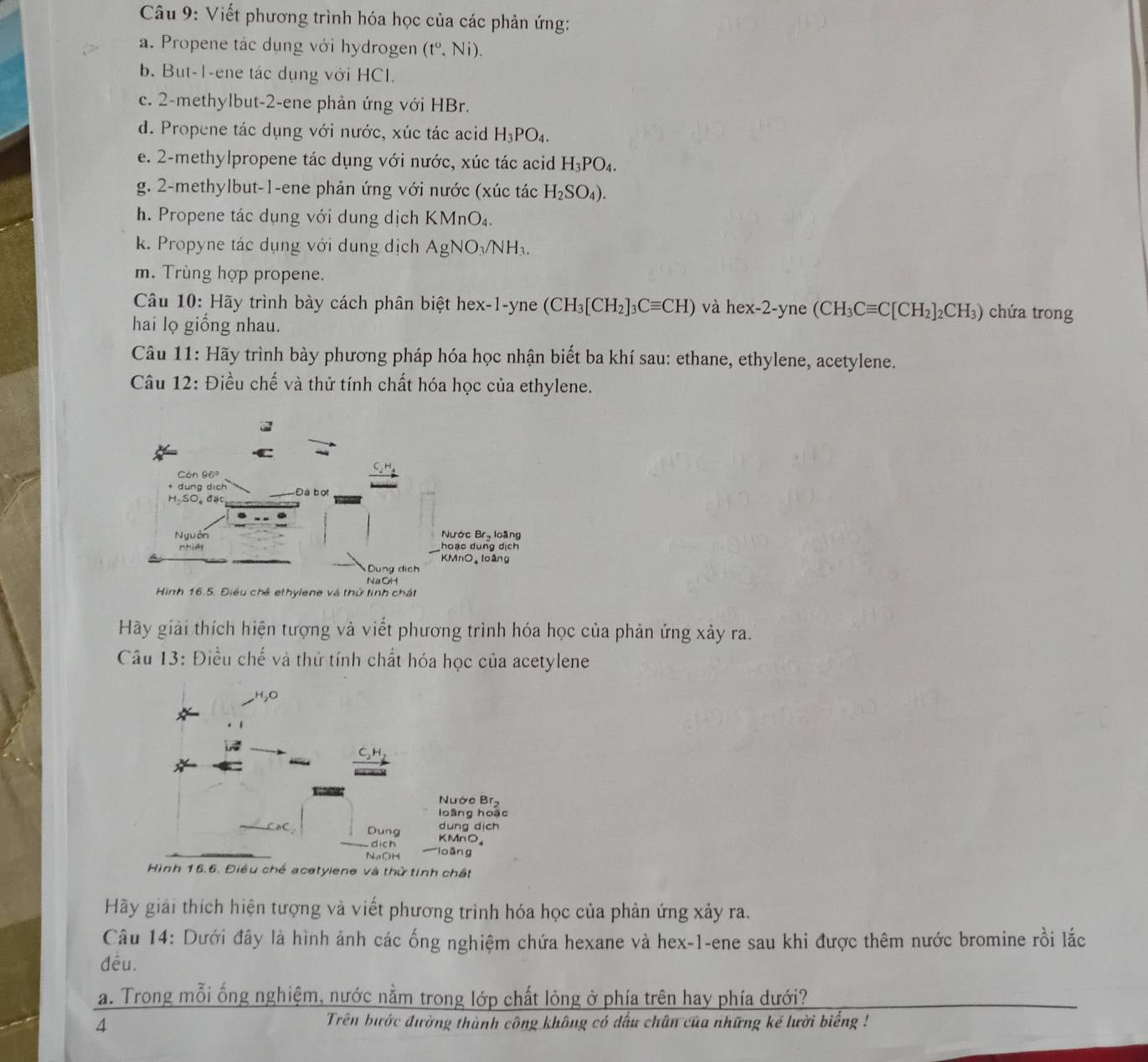 Viết phương trình hóa học của các phản ứng:
a. Propene tác dụng với hydrogen (t^0,Ni).
b. But-1-ene tác dụng với HCl.
c. 2-methylbut-2-ene phản ứng với HBr.
d. Propene tác dụng với nước, xúc tác acid H_3PO_4.
e. 2-methylpropene tác dụng với nước, xúc tác acid H_3PO_4.
g. 2-methylbut-1-ene phản ứng với nước (xúc tác H_2SO_4).
h. Propene tác dụng với dung dịch KMnO₄.
k. Propyne tác dụng với dung dịch AgNO_3/NH_3.
m. Trùng hợp propene.
Câu 10: Hãy trình bày cách phân biệt hex-1-yne (CH_3[CH_2]_3Cequiv CH) và hex-2-yn e (CH_3Cequiv C[CH_2]_2CH_3) chứa trong
hai lọ giống nhau.
Câu 11: Hãy trình bày phương pháp hóa học nhận biết ba khí sau: ethane, ethylene, acetylene.
Câu 12: Điều chế và thử tính chất hóa học của ethylene.
Hãy giải thích hiện tượng và viết phương trình hóa học của phản ứng xảy ra.
Câu 13: Điều chế và thử tính chất hóa học của acetylene
−H,O
Nước Brạ
loàng hoặc
dung dịch
Dung KMnO₄
dich
NaOH '''lioān g
Hình 16.6. Điều chế acetyiene và thử tính chất
Hãy giải thích hiện tượng và viết phương trình hóa học của phản ứng xảy ra.
Câu 14: Dưới đây là hình ảnh các ống nghiệm chứa hexane và hex-1-ene sau khi được thêm nước bromine rồi lắc
đều.
a. Trong mỗi ống nghiệm, nước nằm trong lớp chất lỏng ở phía trên hay phía dưới?
4
Trên bước đường thành công không có đấu chân của những kế lười biếng !