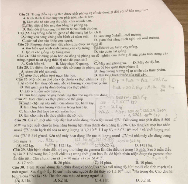 Trong điều trị ung thư, được chất phóng xạ có tác dụng gì đối với tế bảo ung thư?
A. Kích thích tế bảo ung thư phát triển nhanh hơn.
B. Lâm cho tế bảo ung thư phân chia nhanh hơn.
(C)Tiêu diệt tế bảo ung thư bằng tia phóng xạ.
D. Biến đổi tế bảo ung thư thành tế bảo bình thường.
Câu 22. Cây trồng biến đổi gene có thể mang lại lợi ích là
A tăng khả năng kháng sâu bệnh và năng suất.
C. gây hại cho sức khỏe con người. B. làm tăng ô nhiễm môi trường.
Câu 23. Phương pháp đánh dầu phóng xạ được sử dụng đề D. giảm khá năng thích nghi với mỗi trường.
A. tim hiểu quá trình sinh trưởng của cây trồng. B) điều trị các bệnh cây trồng
C. tạo ra các giống cây trồng mới. D. bảo quản hạt giống.
Cầu 24, Khi sử dụng phân bón có đồng vị phóng xạ để nghiên cứu dường đi của phân bón trong cây
trồng, người ta sử dụng thiết bị nào đề quan sát?
A. Kính hiển vi. B. Máy chụp X-quang. C. Máy ảnh phóng xạ
Câu 25. Ưu điểm lớn nhất của việc sử dụng tia phóng xạ để bảo quân thực phẩm là D. Máy đo độ ẩm.
A. giảm chỉ phí sản xuất.
C giúp thực phẩm tươi ngon lâu hơn. B. tăng cường hương vị tự nhiên của thực phẩm.
D. làm tăng kích thước của trái cây.
Cậu 26. Một số hạn chế của việc chiếu xạ thực phẩm là
A có thể làm thay đổi màu sắc và hương vị của thực phẩm.
B. làm giám giá trị dinh dưỡng của thực phẩm.
C. gây ô nhiễm môi trường.
D. làm tăng nguy cơ gây bệnh ung thư cho người tiêu dùng.
Câu 27. Việc chiều xạ thực phẩm có thể giúp
Ar ngăn chặn sự này mẫm của khoai tây, hành tây,
B. làm tăng hàm lượng vitamin trong trái cây.
C. làm cho thịt tưới trở nên mềm hơn.
D. làm cho màu sắc thực phẩm sặc sỡ hơn.
Câu 28. Giả sử, một nhà máy điện hạt nhân dùng nhiên liệu urani _(42)^(235)U. Biết công suất phát điện là 500
MW và hiệu suất chuyển hóa năng lượng hạt nhân thành điện năng là 20%. Cho rằng khi một hạt nhân
urani _(92)^(235)U phân hạch thì toả ra năng lượng là 3.2.10^(-11)J. Lẩy N_A=6.02.10^(23)mol^(-1) và khối lượng mol
của _(32)^(235)U là 235 g/mol. Nếu nhà máy hoạt động liên tục thì lượng urani  235/42 U mà nhà máy cần dùng trong
365 ngày là
A. 962 kg. B. 1121 kg. C. 1352,5 kg D. 1421 kg.
Cầu 29. Một bệnh nhân điều trị ung thư bằng tia gamma lần đầu điều trị trong 10 phút, Sau 5 tuần điều
trị lần 2. Hỏi trong lần 2 phải chiều xạ trong thời gian bao lâu để bệnh nhân nhận được tia gamma như
lần đầu tiên. Cho chu kỉ bản rã T=70 ngày và coi △ tll T. C. 14 phút. D. 10 phút.
A. 17 phút. B. 20 phút.
Câu 30. Tiêm 10cm^3 dung dịch chứa đồng vị phóng xg^(24) Na với nồng độ 10^(-3) mol/l vào tĩnh mạch của
một người. Sau 6 giờ lấy 10cm^3 máu của người đó thì thấy có 1,5.10^(-8)
bán rā cua^(24) Na là 15h. Thể tích của máu có trong người là mol 24 Na trong đó. Cho chu kì
A. 5.1 lit. B. 6,2 lit. C. 4,1 lit. D. 3,2 lít.
