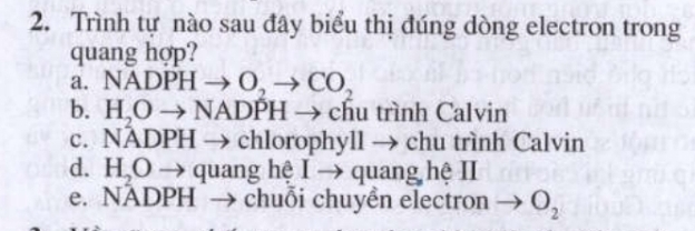 Trình tự nào sau đây biểu thị đúng dòng electron trong
quang hợp?
a. NADPHto Oto O_2to CO_2
b. H,Oto NADPHto chu trình Calvin
C. NADPHto C| loroph yparallel to chu trình Calvin
d. H_2Oto qua ng hệ Ito q uang hệ II
e. NADPHto chuỗi chuyền electron O_2