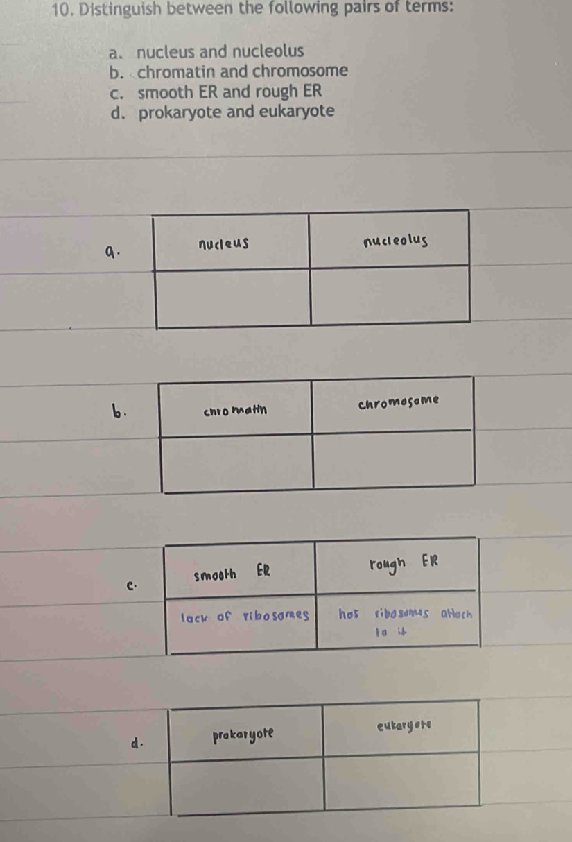 Distinguish between the following pairs of terms: 
a. nucleus and nucleolus 
b. chromatin and chromosome 
c. smooth ER and rough ER 
d. prokaryote and eukaryote