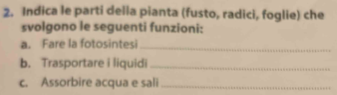 Indica le parti della pianta (fusto, radici, foglie) che 
svolgono le seguenti funzioni: 
a. Fare la fotosintesi_ 
b. Trasportare i liquidi_ 
c. Assorbire acqua e sali_