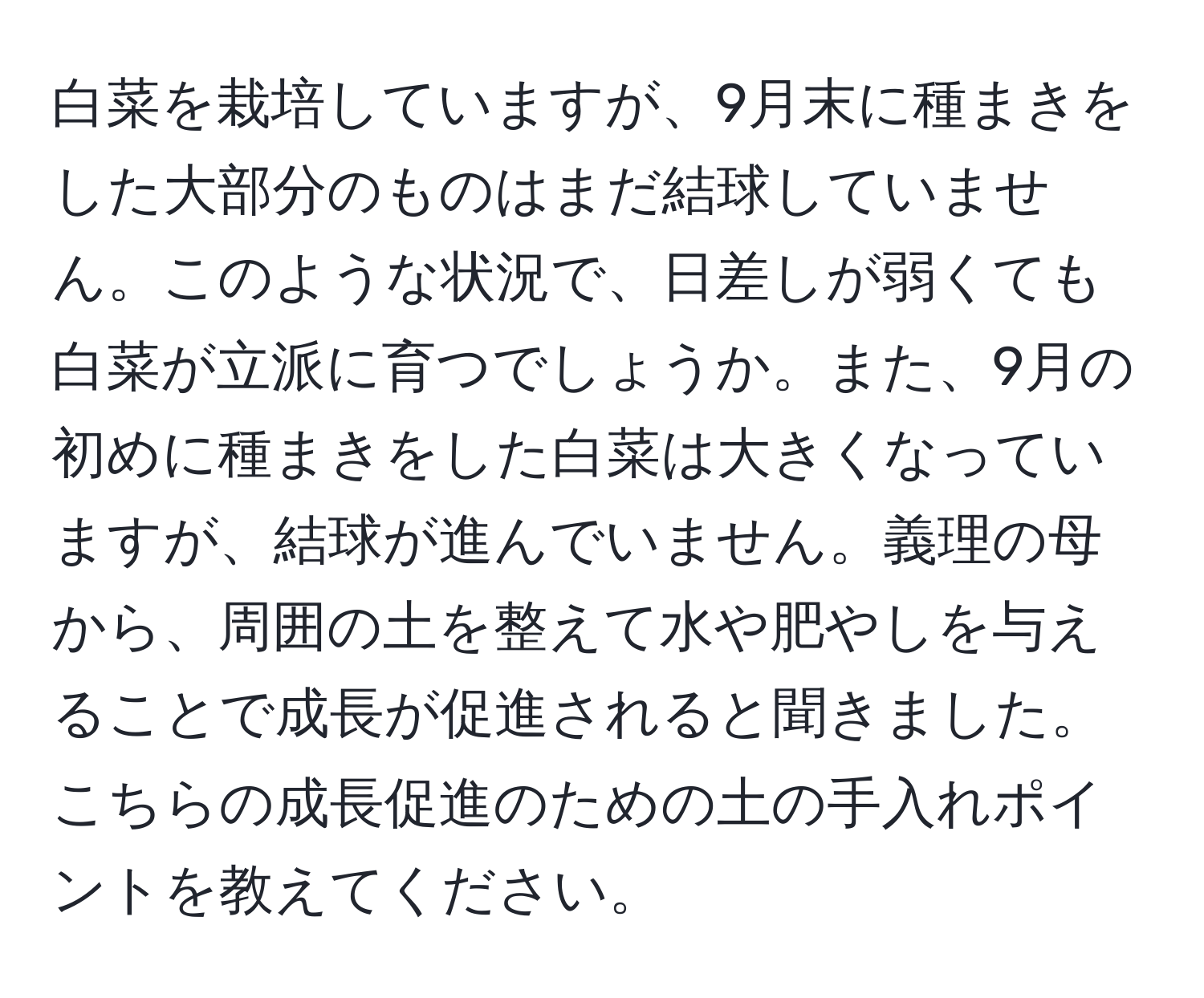 白菜を栽培していますが、9月末に種まきをした大部分のものはまだ結球していません。このような状況で、日差しが弱くても白菜が立派に育つでしょうか。また、9月の初めに種まきをした白菜は大きくなっていますが、結球が進んでいません。義理の母から、周囲の土を整えて水や肥やしを与えることで成長が促進されると聞きました。こちらの成長促進のための土の手入れポイントを教えてください。